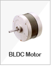 BLDC Motor